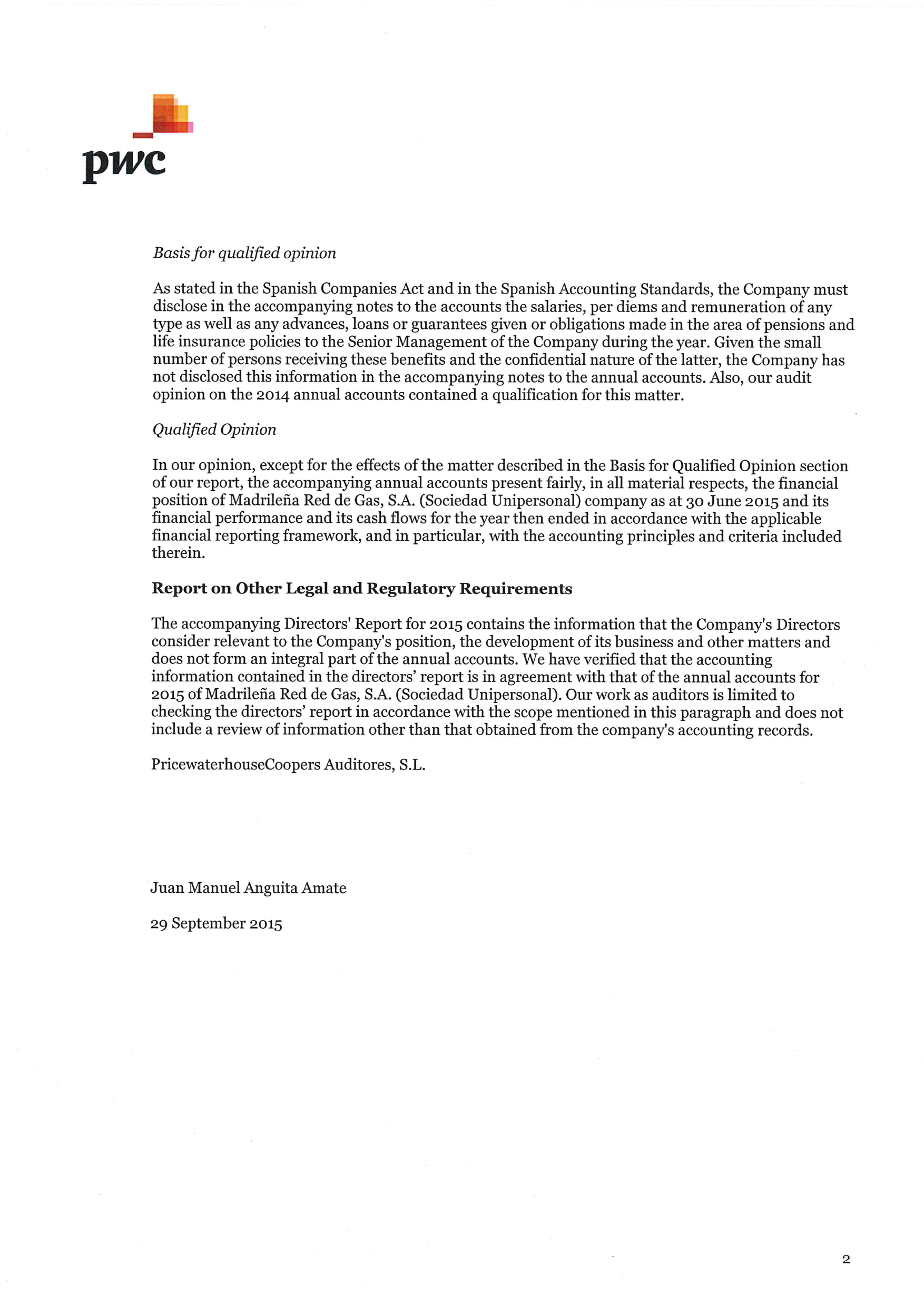 MRG Audit Report 2015
